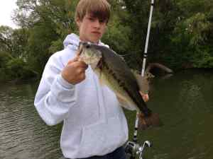 largemouth