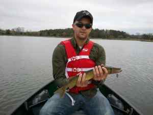 Chain Pickerel in my canoe