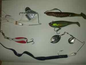 My 5 best Bass catchers So Far this year !