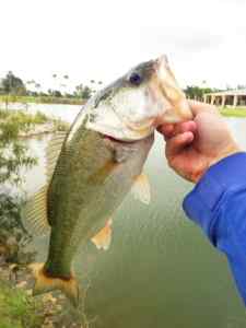 23Aug2013, Miami Pond