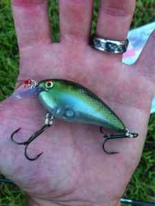 KVD Sexy Shad