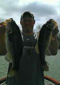 Mozingo Bass x 2