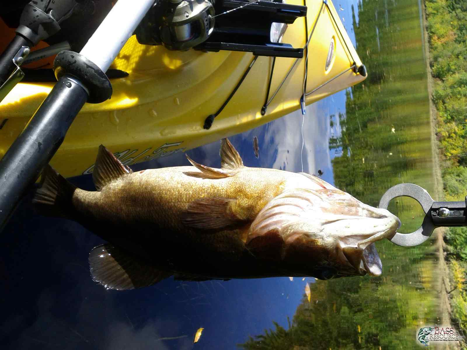 Day on the Androscoggin for Smallies