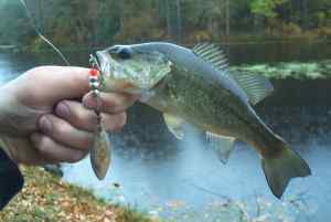 Nov. 7, 2013   Lake Pinehurst