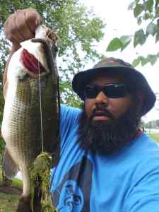 Largemouth Bass