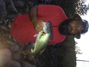 Largemouth Bass