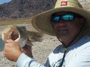 Lake Mead Bass