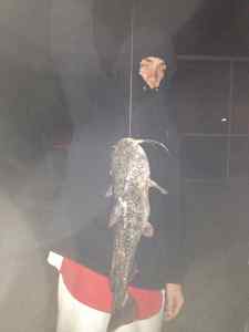 8lb HUGE CATFISH FRESHWATER