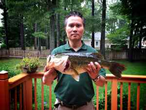 5.6 lb largemouth bass