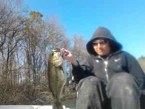 BIG BASS 2 Pic 2