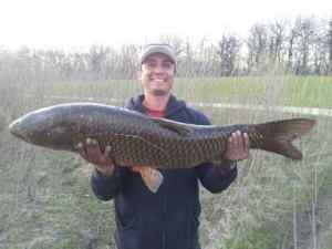 Caught on 1/2 Oz.  Strike king red eye shad