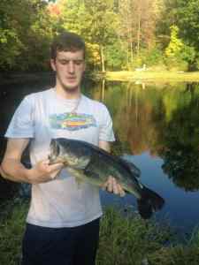 Fall Bass