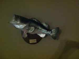 My bass mount