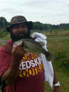 Largemouth Bass