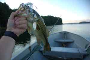 Fishing on Tomahawk Lake, Minocqua, Wisconsin 2012