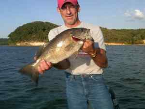 Smallmouth from Kentucky Lake