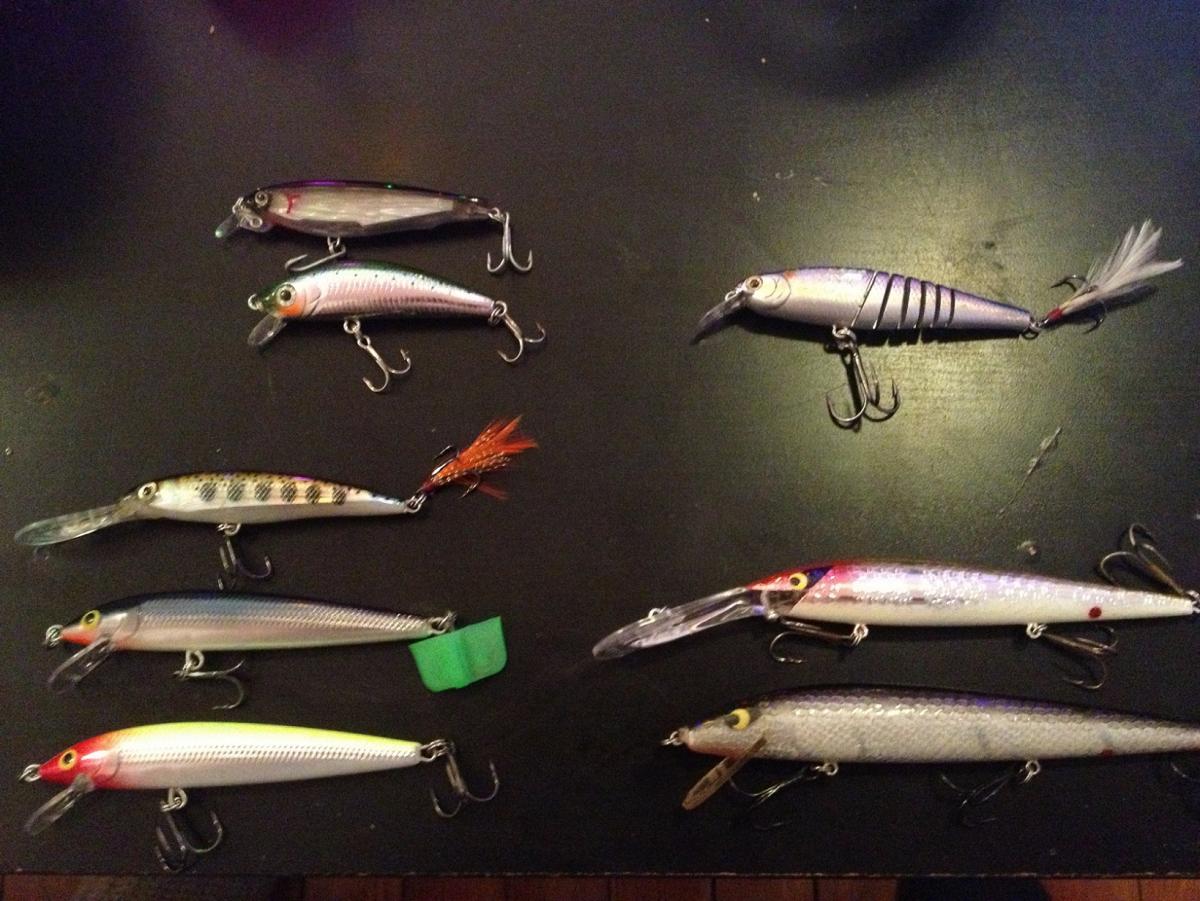 Jerkbaits and suspending strips - Fishing Tackle - Bass Fishing Forums