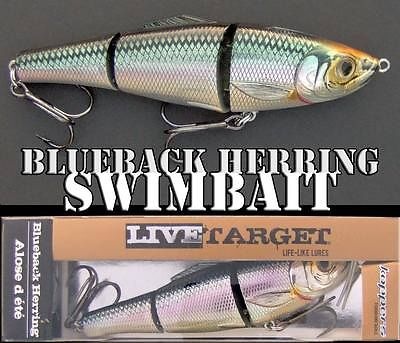 BassdozerStore.com: Koppers Live Target Blueback Herring ~ Jointed Swimbait  ~ Slow Sinking and Fast Sinking