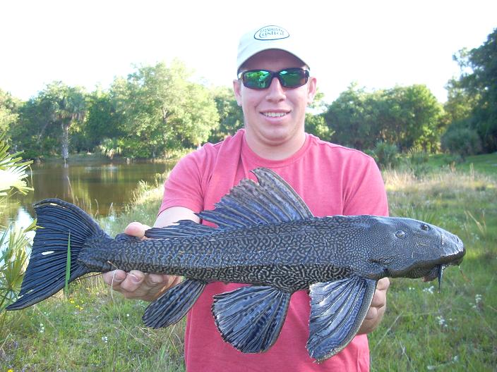 Gambler Cane Toad - Great Bait - Fishing Tackle - Bass Fishing Forums