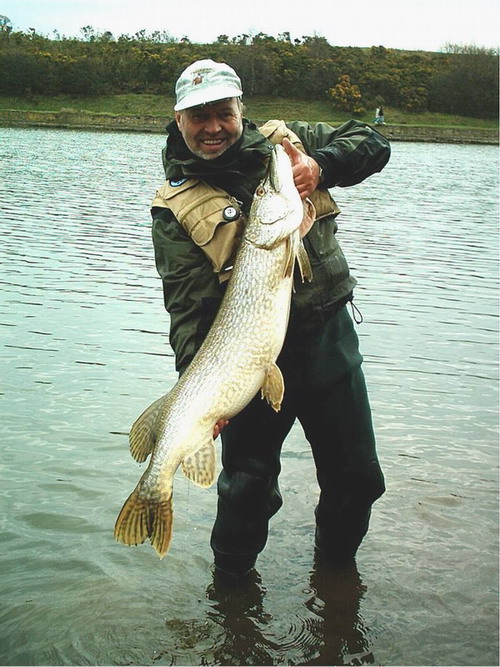 Safe pike handling? - Other Fish Species - Bass Fishing Forums