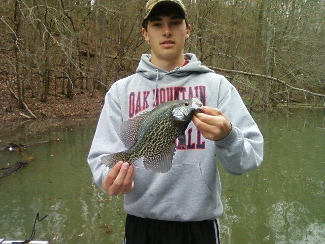 Smith Lake Crappie - Fishing Reports - Bass Fishing Forums