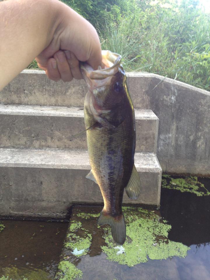 Fighting Bass On 6 Pound Test - Fishing Rods, Reels, Line, and Knots - Bass  Fishing Forums