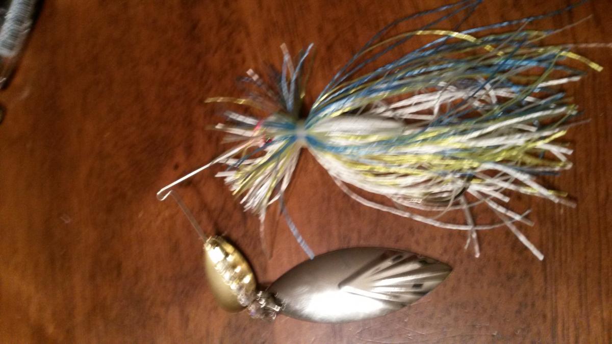 One of Everybody's Favorites: Spinnerbaits