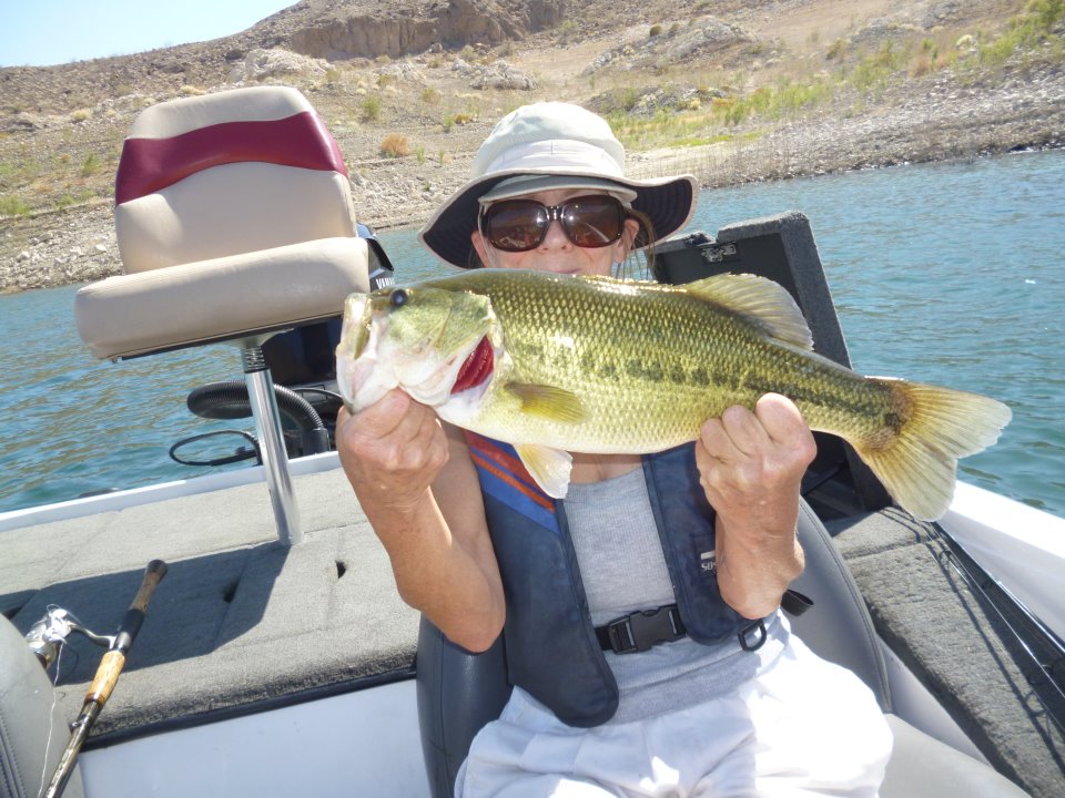 Catching Bass At Lake Mead Before The Wind Picks Up! 