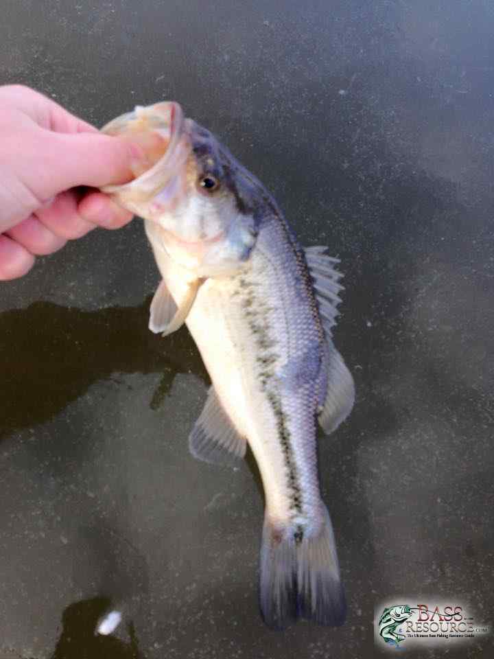 Ice Fishing 2016