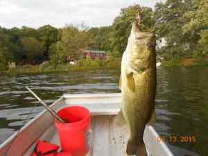 568970b06de9e-austinsept2015fishingseptoct009.JPG