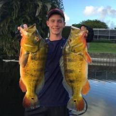 Make your Hula Poppers pop  Bass Fishing Forums - The Bassholes