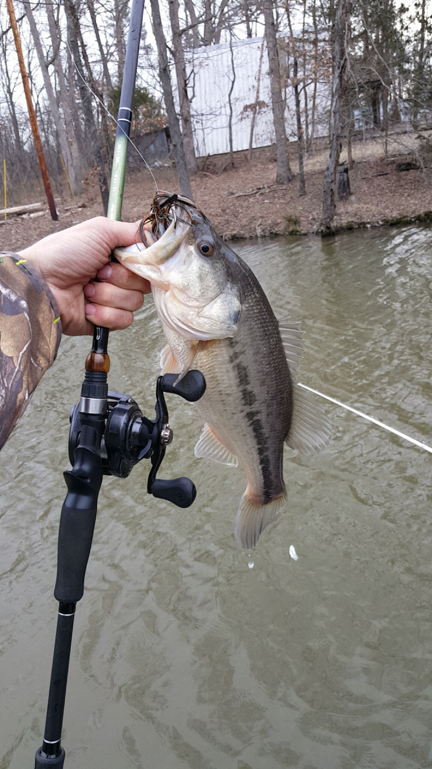 Fattest Sally of the year so far! 7.97 on a buzzbait! : r/bassfishing