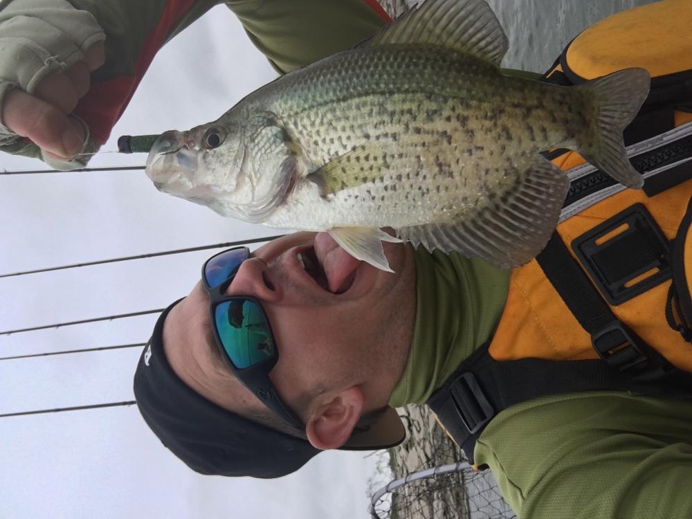 Crappie - Other Fish Species - Bass Fishing Forums