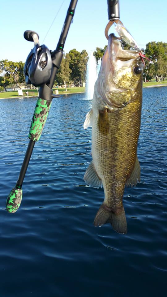 Looking to get a good, all around bait casting rod - Fishing Rods