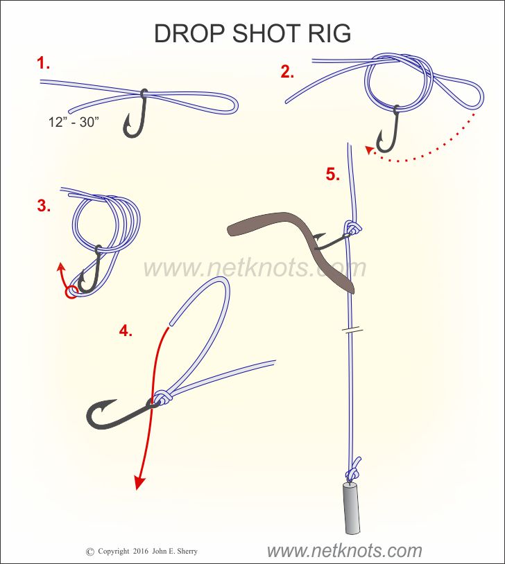How to tie the dropshot w a palomar knot #fishing #fishingknot