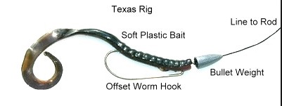 Fishing A Worm On A JIGHEAD VS. TEXAS RIG!!! (Most Anglers Get This Wrong)  