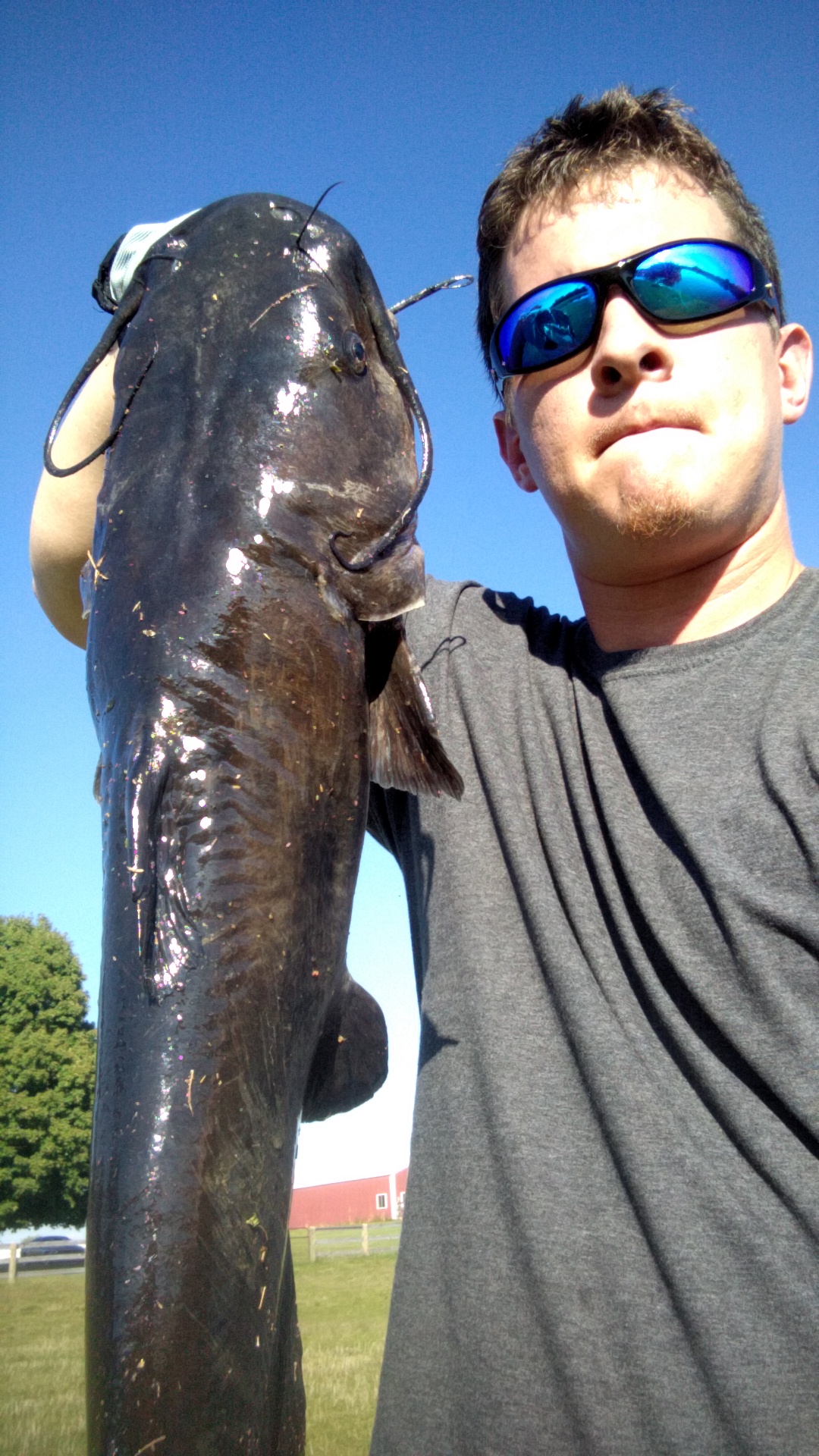 Channel catfish strategy - Other Fish Species - Bass Fishing Forums