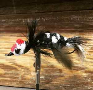 Articulated deerhair baby Red-headed Woodpecker