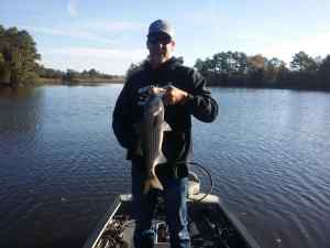 another non-keeper striper