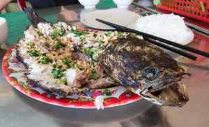 Yummy snakehead, Cantho, Vietnam