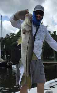 Summer snook