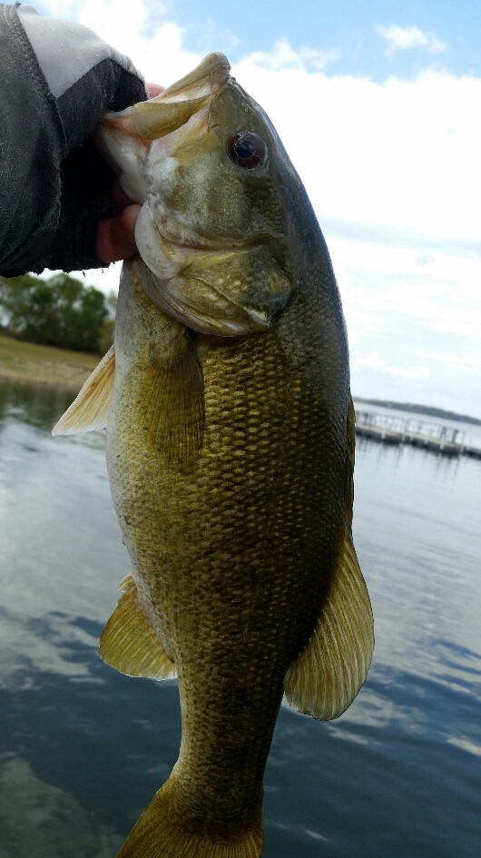 Mean Mouth Bass - Page 2 - General Bass Fishing Forum - Bass Fishing Forums