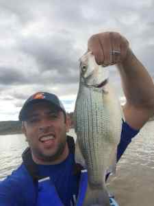 PB White Bass