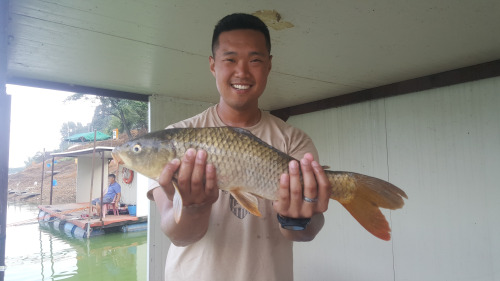 Fishing With Bluegill As Bait 