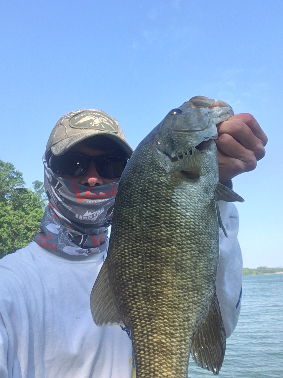 Cherokee Lake Practice Fishing Reports Bass Fishing Forums