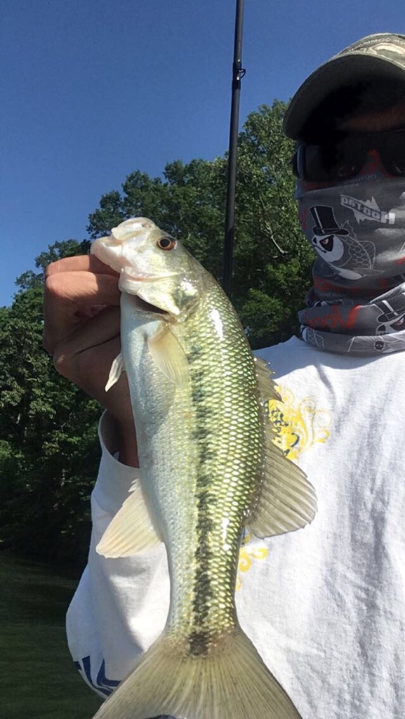 Cherokee Lake Practice Fishing Reports Bass Fishing Forums