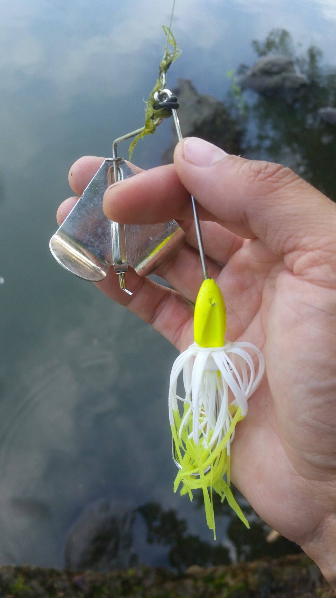 Buzz Baits - How to Catch Fish in Ontario