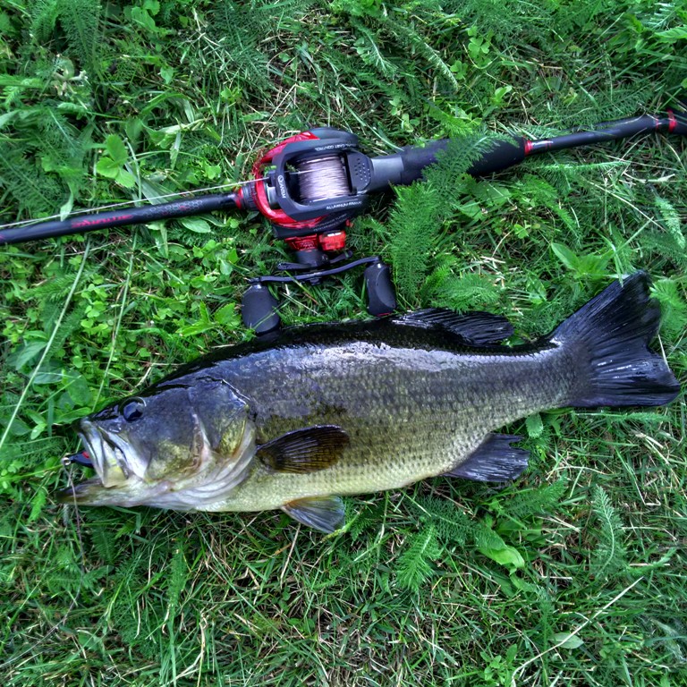Best Flipping & Pitching reel? With a flipping switch? - Fishing Rods,  Reels, Line, and Knots - Bass Fishing Forums