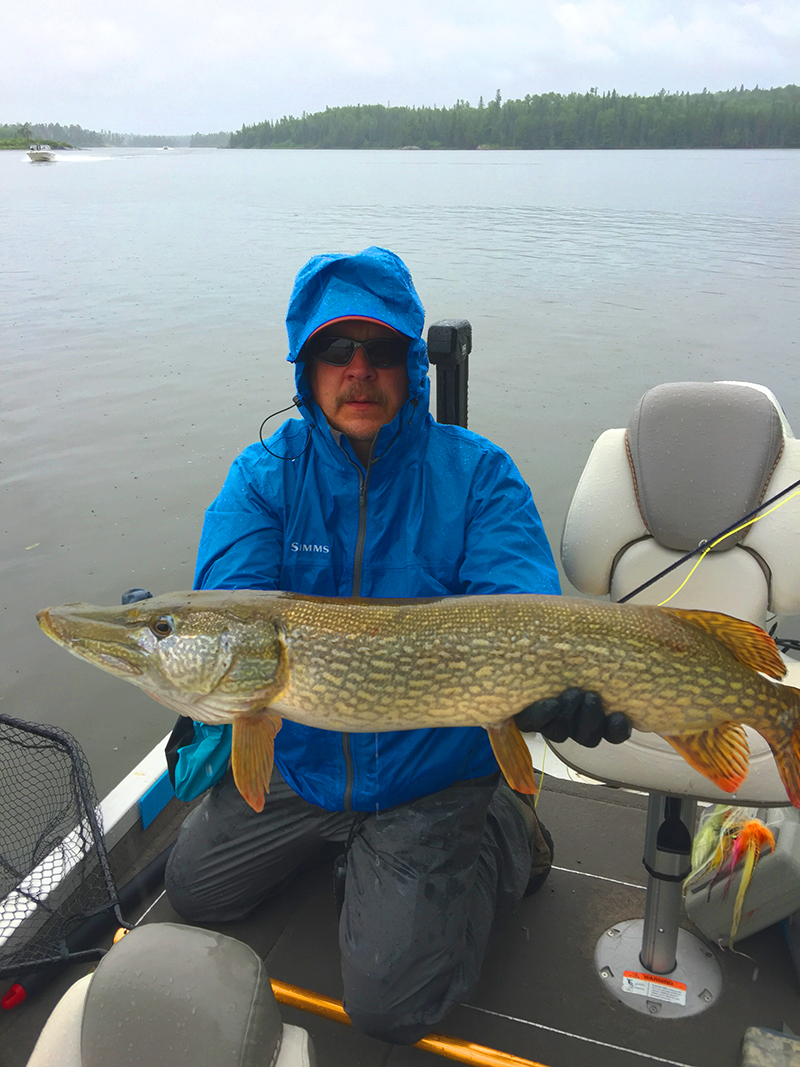 Leaders for pike - Other Fish Species - Bass Fishing Forums