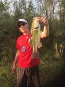 Early summer evening, 4 pounder